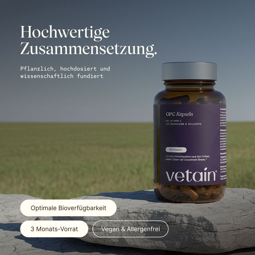 Vetain OPC Kapseln in hochwertiger Zusammensetzung. Pflanzlich, hochdosiert, und wissenschaftlich fundiert. Optimale Bioverfügbarkeit, 3 Monats-Vorrat, Vegan & Allergenfrei. Glasdose auf einem Stein platziert