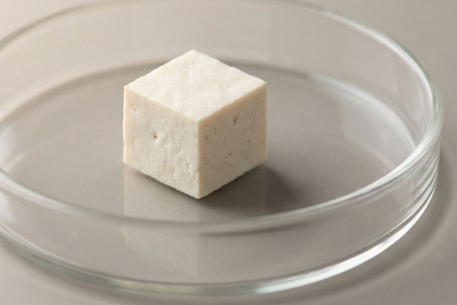 Die häufigsten Protein-Mythen entlarvt