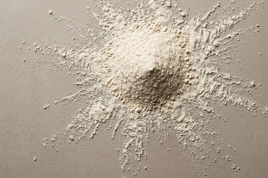 Was ist Whey Protein? ‒ Alles, was du wissen musst