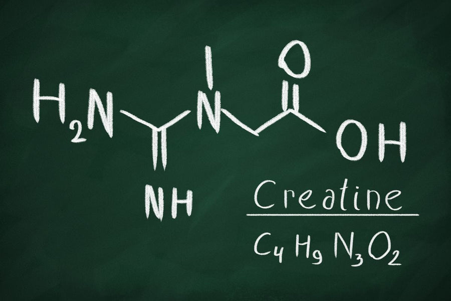 What Is Creatine? Key Facts