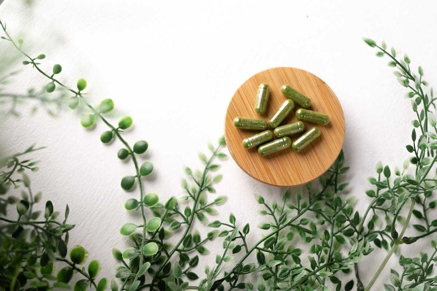 Vegetarische Ernährung Supplemente