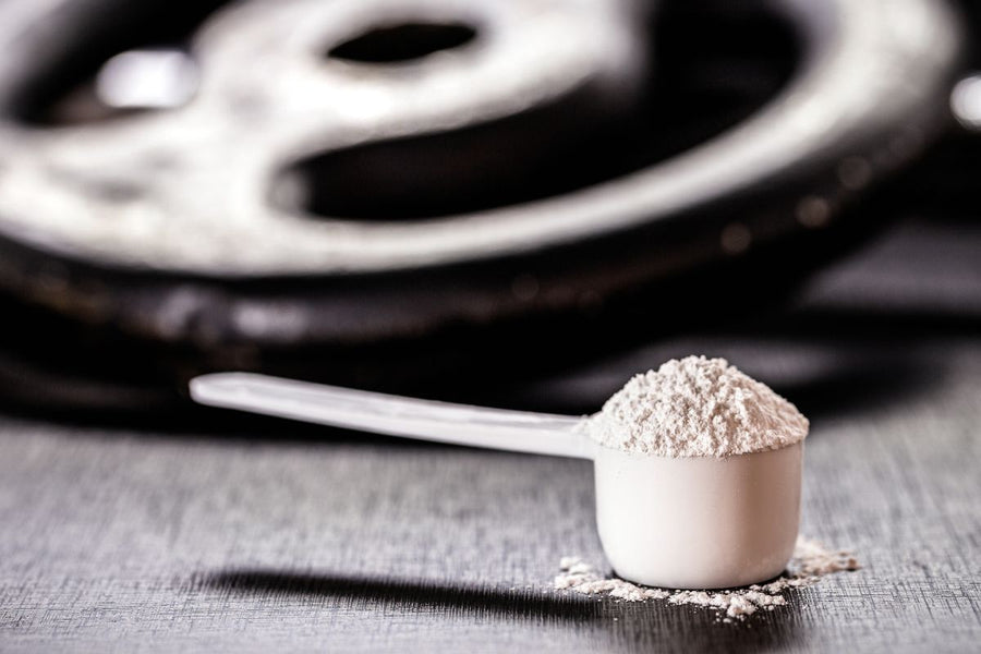 How Much Creatine per Kg – Scientific Insights