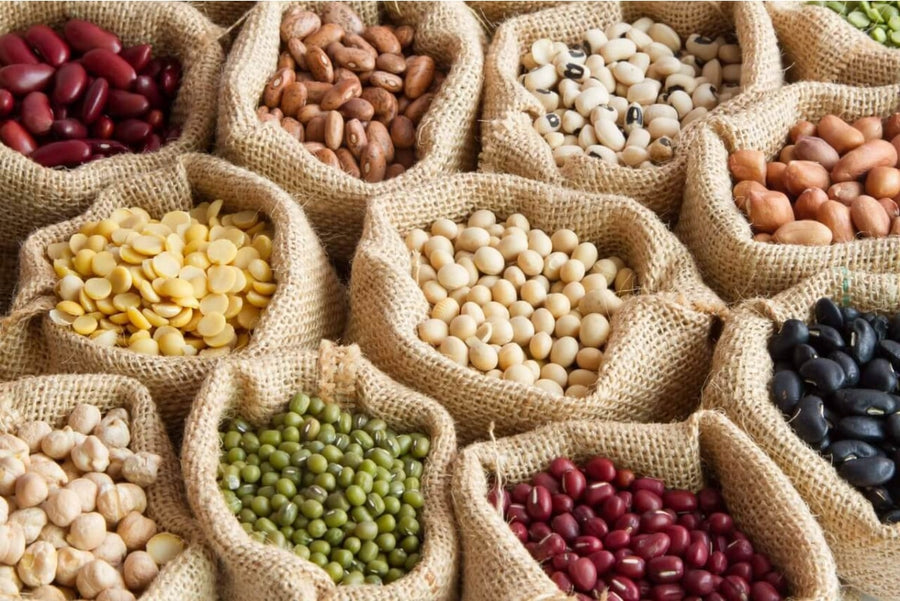Was sind pflanzliche Proteinquellen? - Ein Überblick