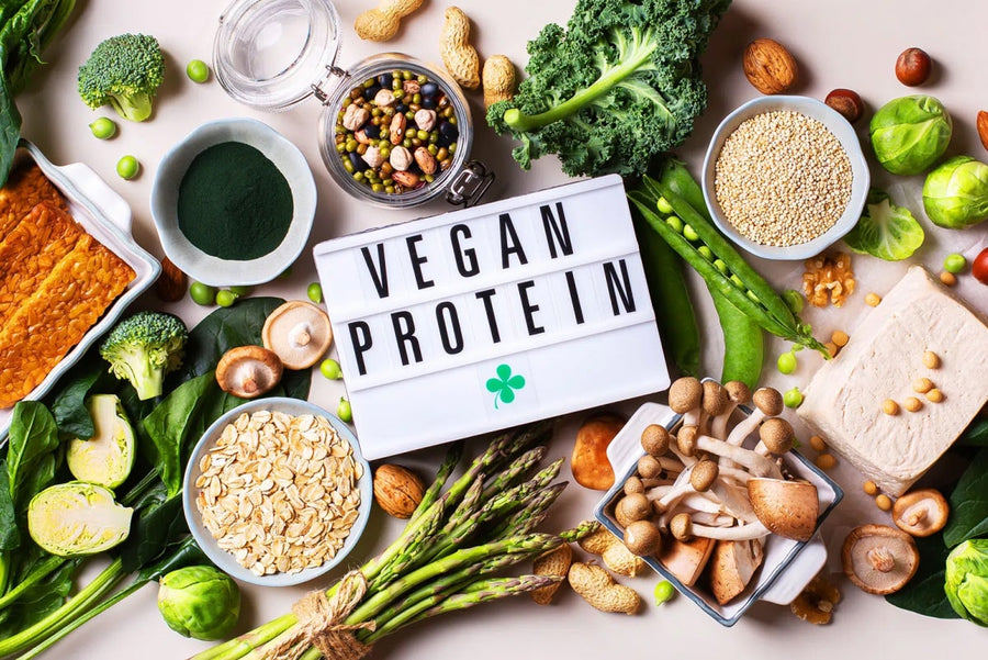 Eiweiß und Ernährung: Warum Protein in Diäten oft betont wird