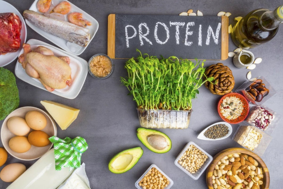Animal vs. Plant Based Protein: Which Is Better?