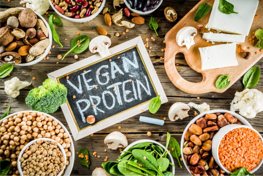 What makes our Vegan Protein so special?