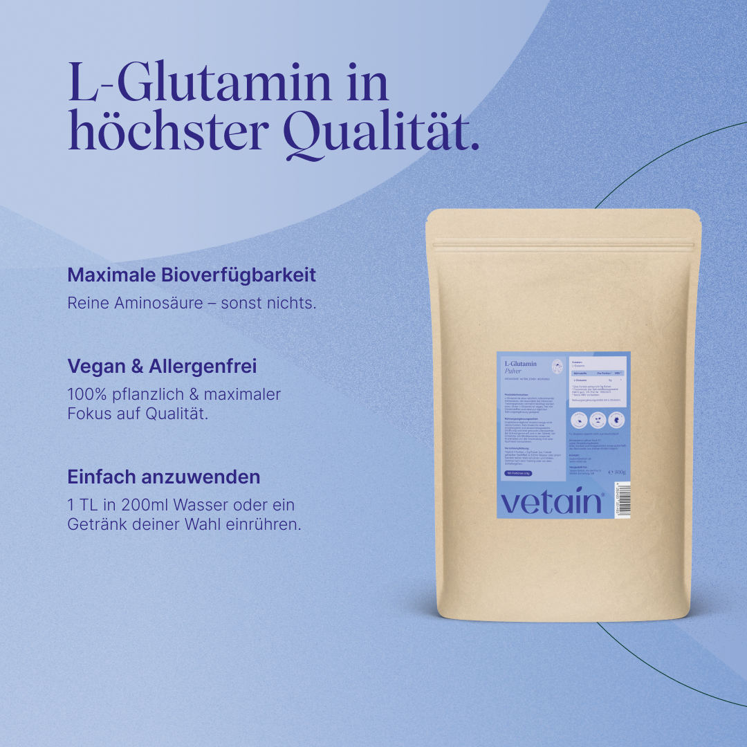 Vetain L-Glutamin Pulver im Standbodenbeutel (500 g) vor blauem Hintergrund. Überschrift „L-Glutamin in höchster Qualität“ mit den Punkten: maximale Bioverfügbarkeit (reine Aminosäure), vegan & allergenfrei (100 % pflanzlich), einfach anzuwenden (1 TL in 200 ml Wasser einrühren).