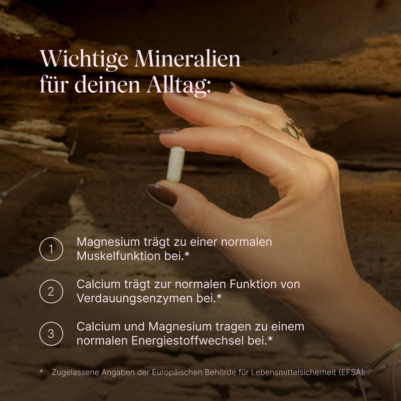 Vetain GUTPro 360°-Komplex mit Mineralien, die deine Verdauung unterstützen. Calcium trägt zur normalen Funktion von Verdauungsenzymen bei, Magnesium unterstützt die normale Muskelfunktion. Calcium und Magnesium leisten einen Beitrag zu einem normalen Energiestoffwechsel.