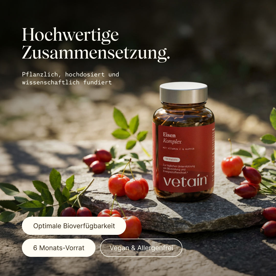 Auf einem Stein steht ein Glas mit Vetains Eisenkomplex Kapseln. Daneben liegen vereinzelt Hagebutten und Acerolafrüchte. Die Kapseln haben eine hochwertige Zusammensetzung und optimale Bioverfügbarkeit. 6 Monats-Vorrat.