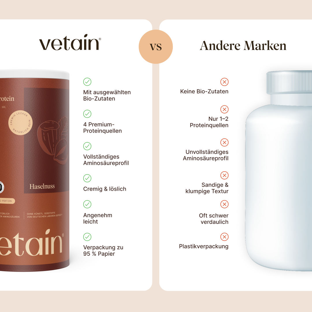 Vegan Protein Hazelnut (540g/Organic)