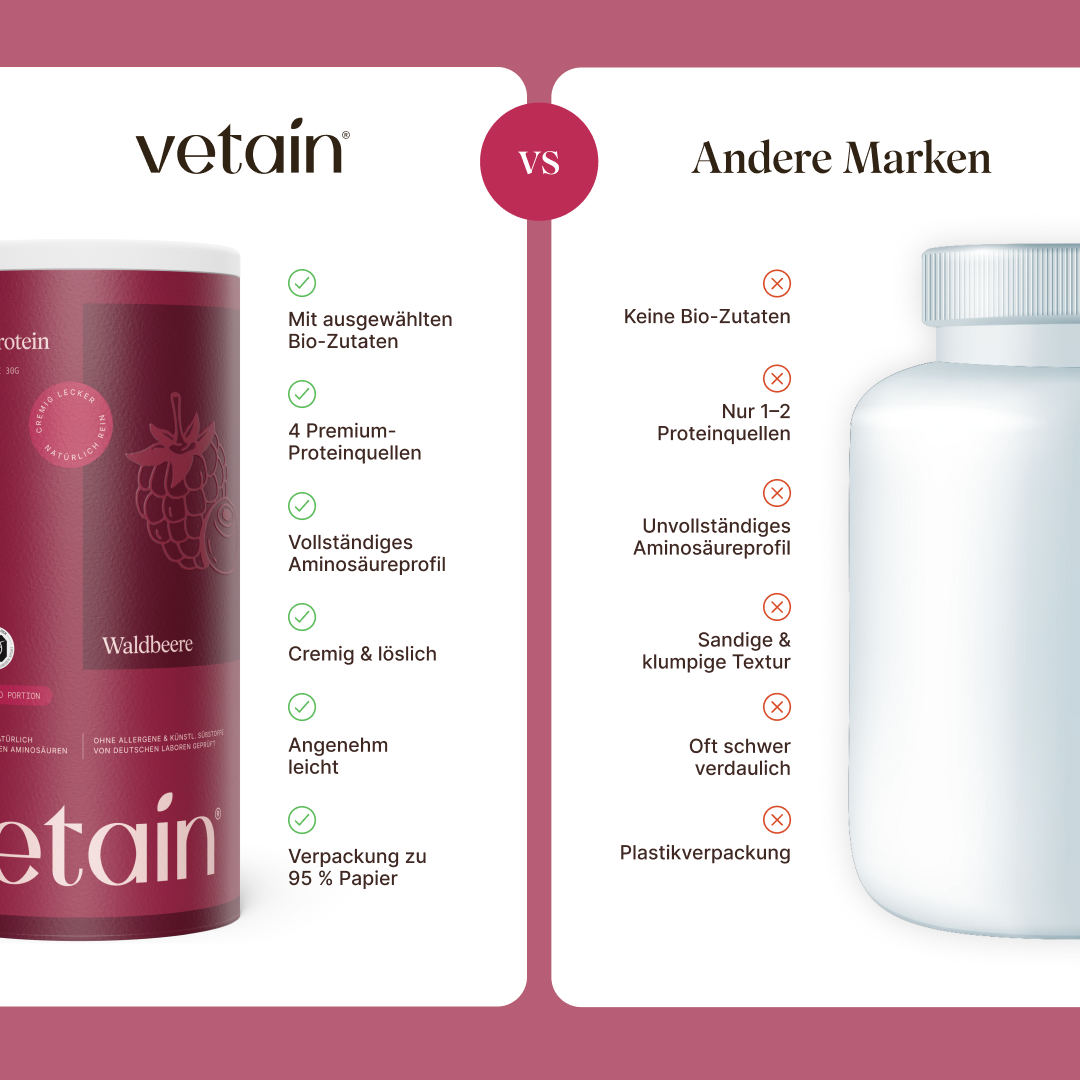 Vegan Protein Beere (540g/BIO)