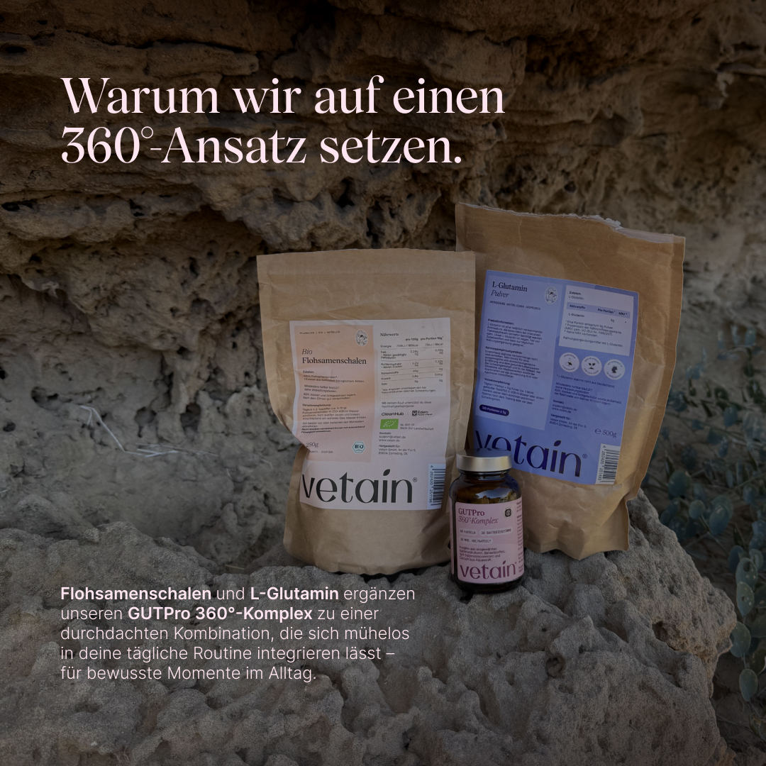 Vetain Bio Flohsamenschalen, L-Glutamin Pulver und GUTPro 360°-Komplex auf einem Felsen. Überschrift „Warum wir auf einen 360°-Ansatz setzen.“ Flohsamenschalen und L-Glutamin ergänzen den GUTPro 360°-Komplex zu einer Kombination für die tägliche Routine.