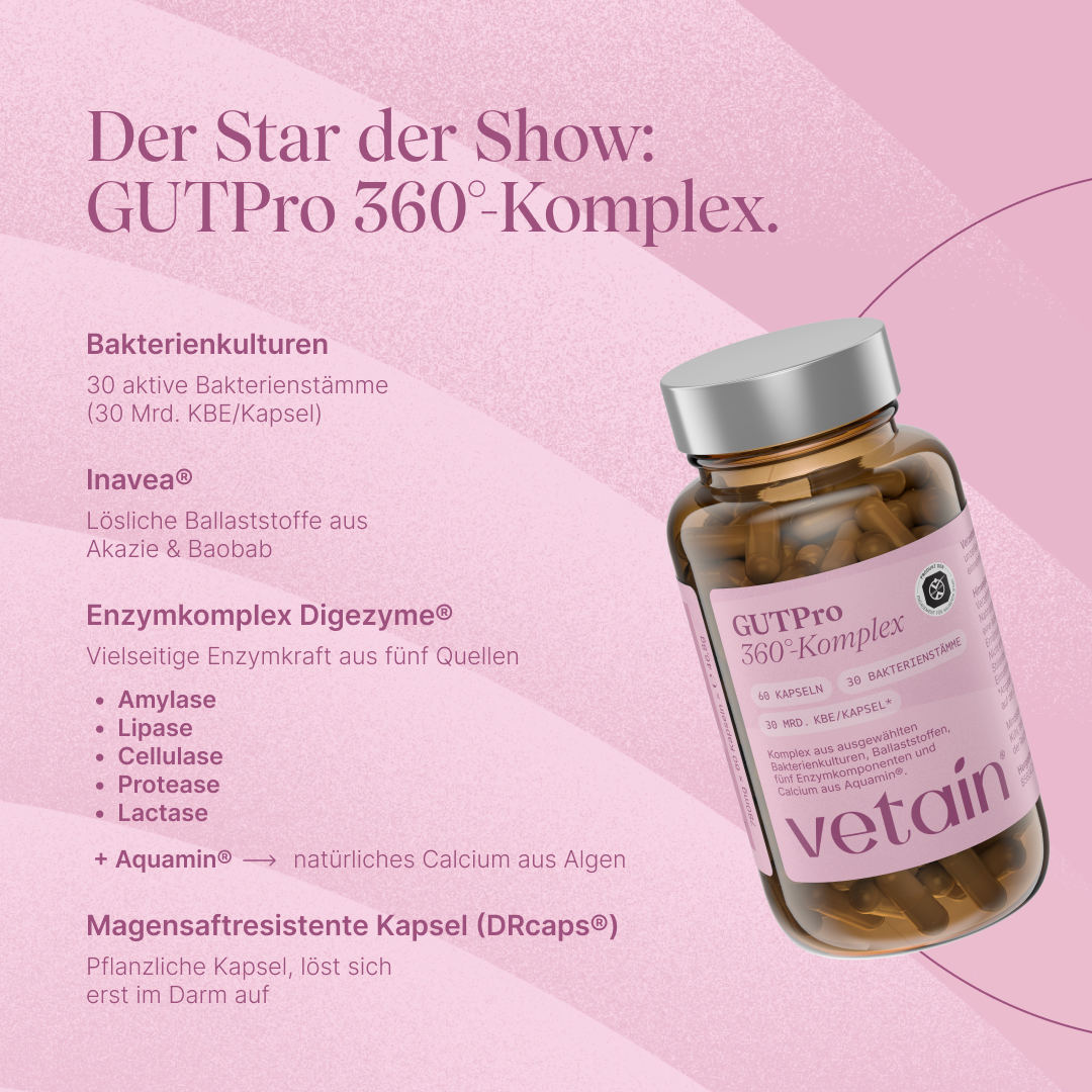 Vetain GUTPro 360°-Komplex Braunglas-Dose. Überschrift „Der Star der Show: GUTPro 360°-Komplex.“ 30 aktive Bakterienstämme (30 Mrd. KBE/Kapsel), Inavea® lösliche Ballaststoffe aus Akazie und Baobab, Enzymkomplex Digezyme® mit Amylase, Lipase, Cellulase, Protease und Lactase, Calcium aus Algen (Aquamin®), magensaftresistente pflanzliche Kapsel (DRcaps®).