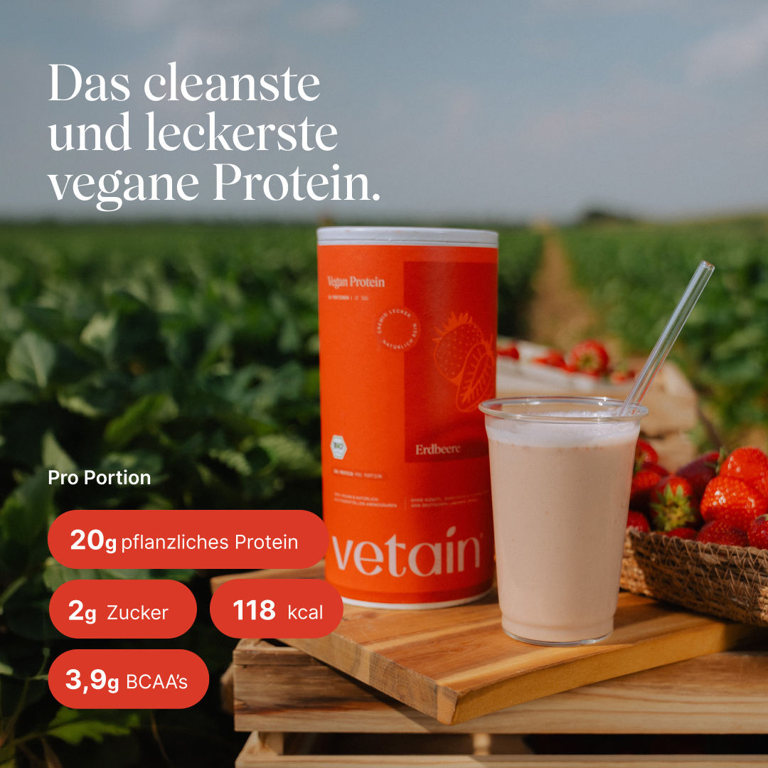 Vetain Vegan Protein Erdbeere Dose neben einem cremigen Erdbeer-Shake im Glas auf einem Erdbeerfeld; eingeblendete Werte pro Portion: 20 g pflanzliches Protein, 2 g Zucker, 118 kcal, 3,9 g BCAAs. Text „Das cleanste und leckerste vegane Protein."