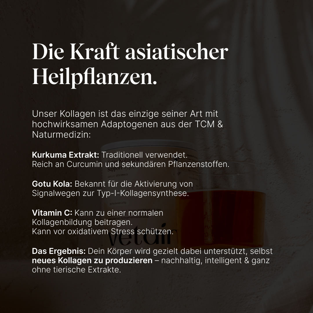 Vegan Kollagen Support: Erklärung der Wirkung asiatischer Heilpflanzen