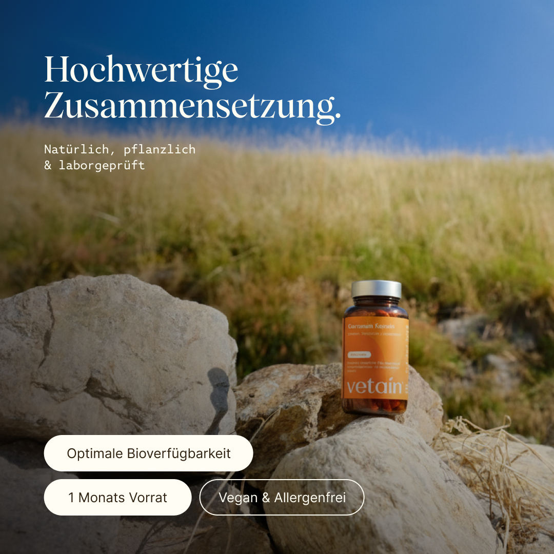 Vetain Curcumin natürlich, pflanzlich & laborgeprüft. Optimale Bioverfügbarkeit, 1 Monats Vorrat, vegan & allergenfrei. Kapselglas auf Stein in der Natur