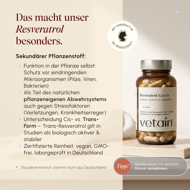 KI-generiertes Bild: Vetain Resveratrol Kapseln auf Steinplatte, daneben Infos zu trans-Resveratrol als sekundärem Pflanzenstoff