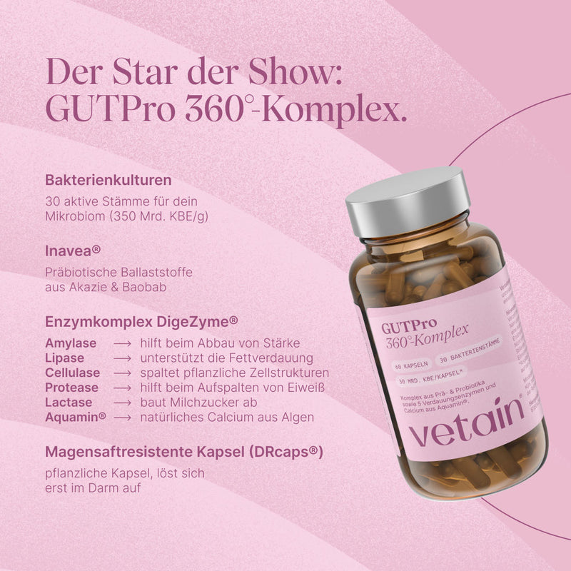 Das GUTPRO 360° Komplex von Vetain mit 30 aktiven Bakterienstämmen für dein Mikrobiom, Präbiotische Ballaststoffe aus Akazie und Baobab, Enzymkomplexe wie Amylase, Lipase, Cellulase, Protease, Lactase und Aquamin. Magensaftresistente Kapsel