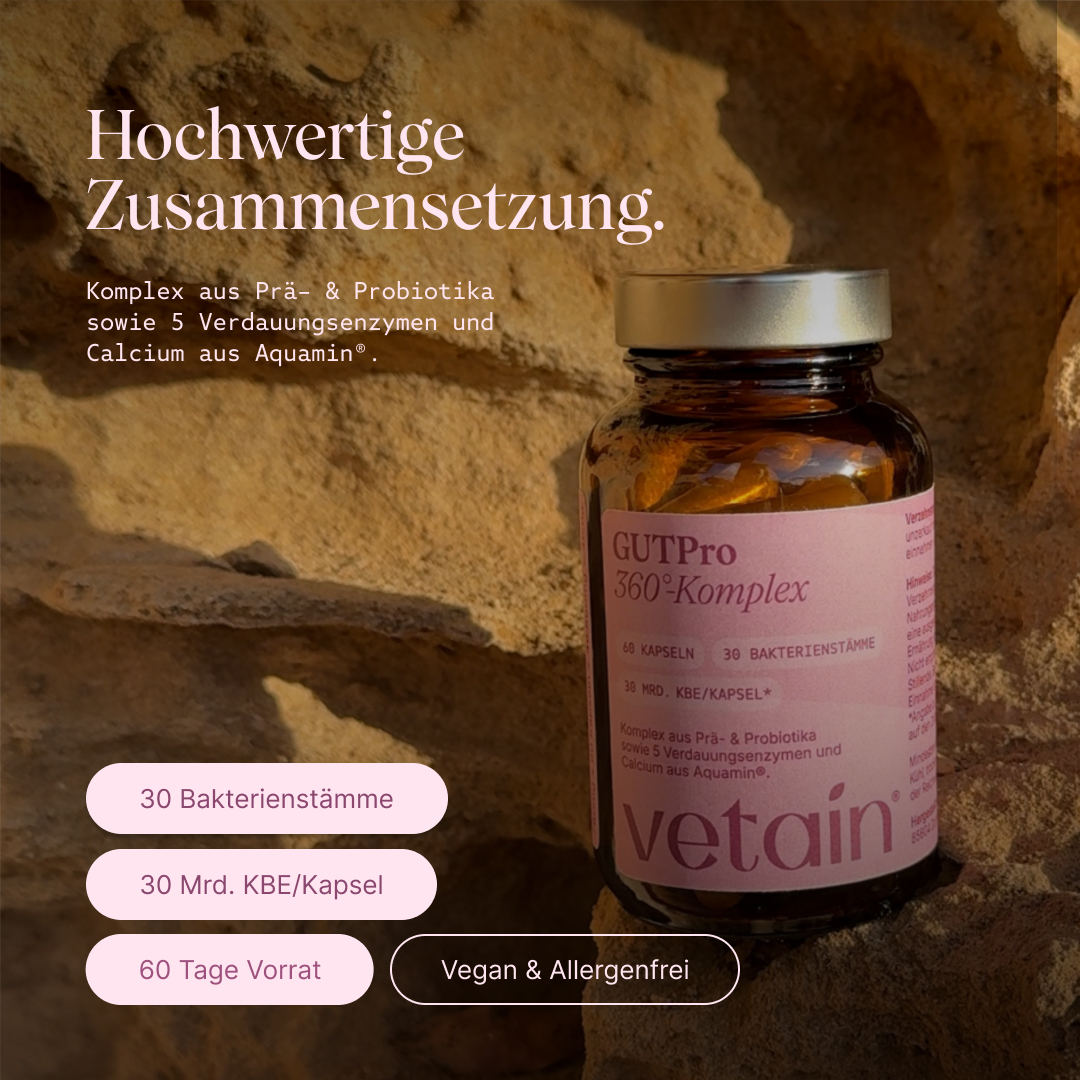 Vetain GUTPro 360°-Komplex in hochwertiger Zusammensetzung. Komplex aus Prä- & Probiotika sowie 5 Verdauungsenzymen und Calcium aus Aquamin. 30 Bakterienstämme, 30 Mrd. KBE/Kapsel, 60 Tage Vorrat, vegan & allerngenfrei