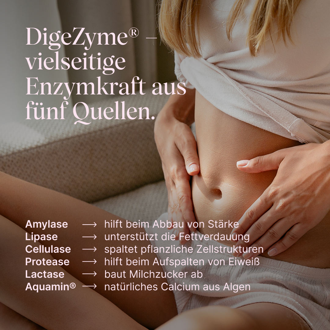 Vetain GUTPro 360°-Komplex mit DigeZyme als vielseitige Enzymkraft aus fünf Quellen: Amylase, Lipase, Cellullase, Protease, Lactase, Aquamin
