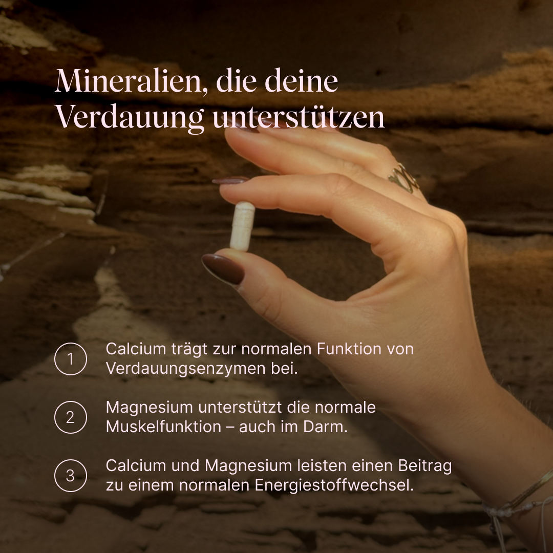 Vetain GUTPro 360°-Komplex mit Mineralien, die deine Verdauung unterstützen. Calcium trägt zur normalen Funktion von Verdauungsenzymen bei, Magnesium unterstützt die normale Muskelfunktion - auch im Darm. Calcium und Magnesium leisten einen Beitrag zu einem normalen Energiestoffwechsel.