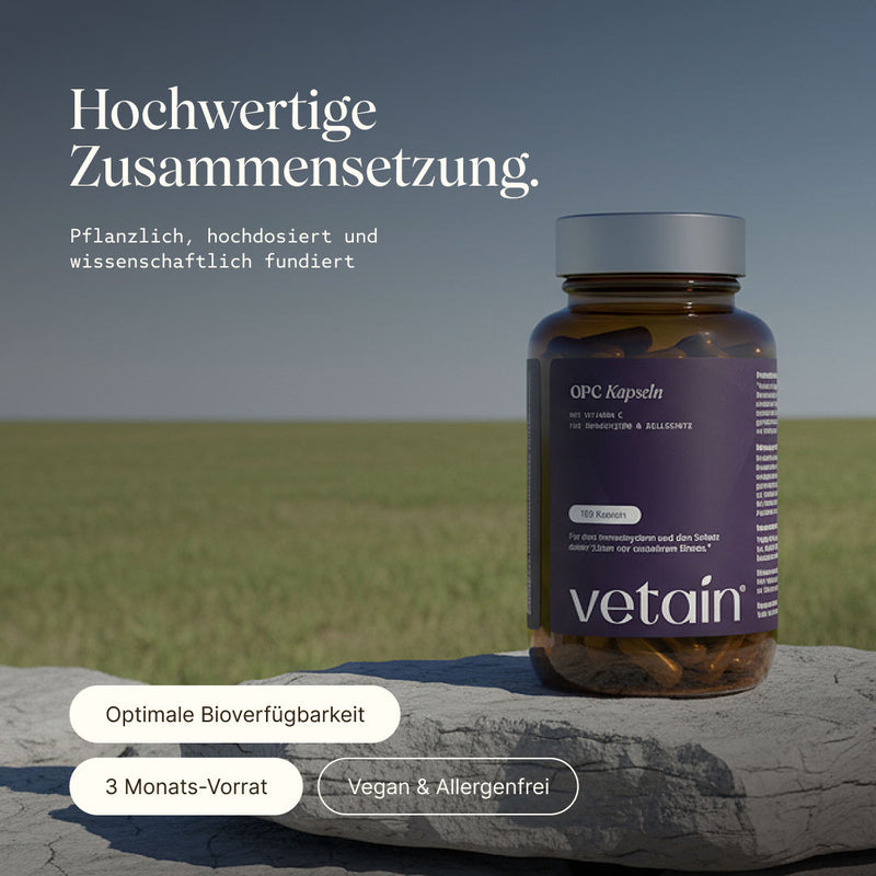Vetain OPC Kapseln in hochwertiger Zusammensetzung. Pflanzlich, hochdosiert, und wissenschaftlich fundiert. Optimale Bioverfügbarkeit, 3 Monats-Vorrat, Vegan & Allergenfrei. Glasdose auf einem Stein platziert