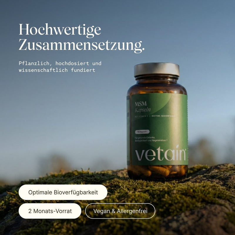 MSM von Vetain in hochwertiger Zusammensetzung. Pflanzlich, hochdosiert und wissenschaftlich fundiert. Optimale Bioverfügbarkeit, 2 Monats-Vorrat, vegan & allergenfrei